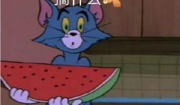 furry吃瓜表情包模板免费,笑翻你的表情包盛宴！