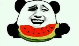 吃大瓜传媒网红