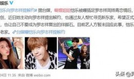 昊艺粉丝爆料事件视频,揭秘事件背后真相